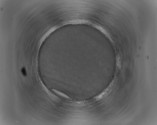 X0000076321229200610161635