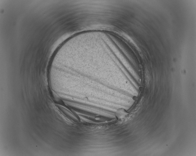 X0000076321230200610161635