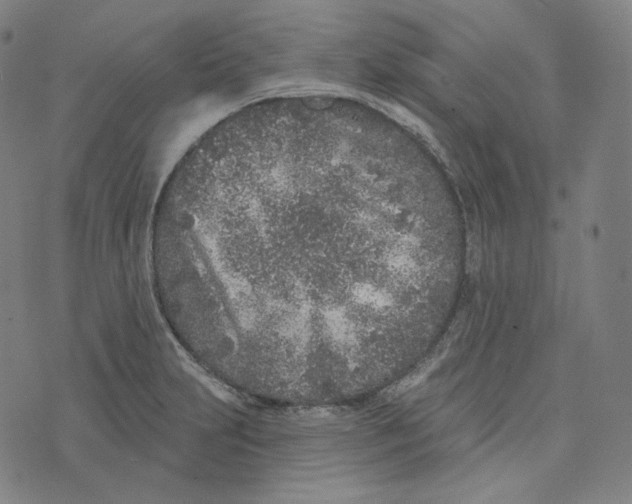 X0000076321231200610161635