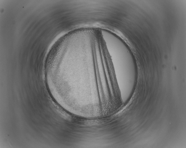 X0000076321232200610161635