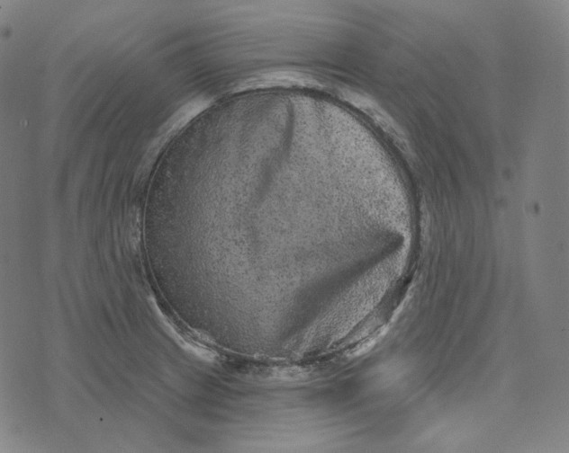 X0000076321233200610161635