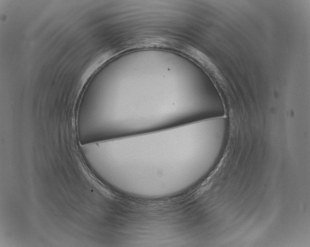 X0000076321234200610161636