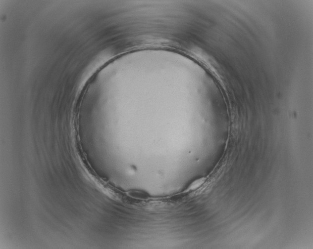 X0000076321235200610161636