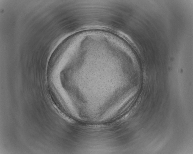 X0000076321236200610161636