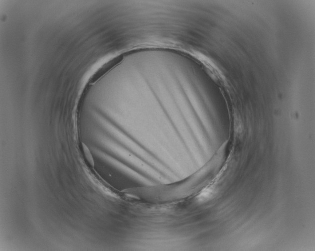 X0000076321238200610161636