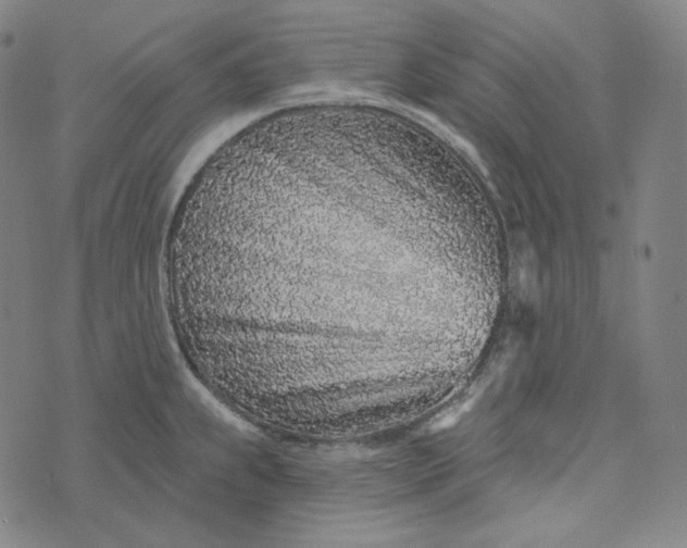 X0000076321239200610161636