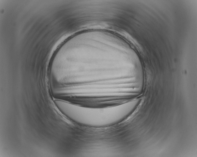 X0000076321240200610161636