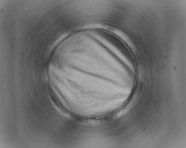 X0000076321241200610161636