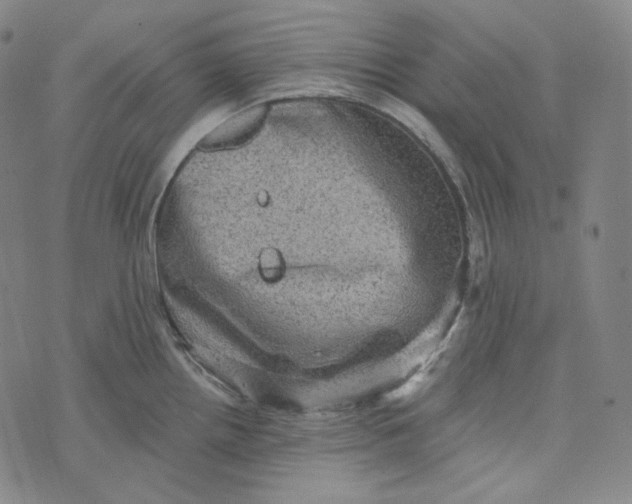 X0000076321242200610161636