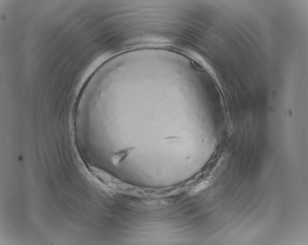 X0000076321243200610161636