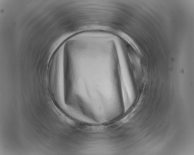 X0000076321244200610161636