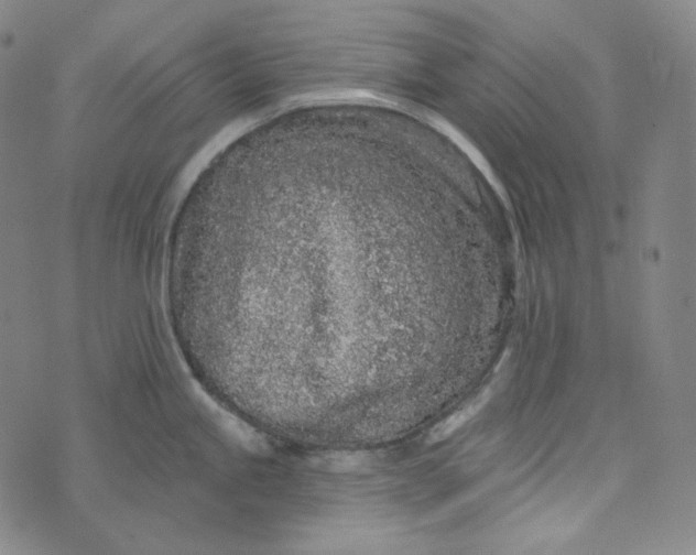 X0000076321245200610161636