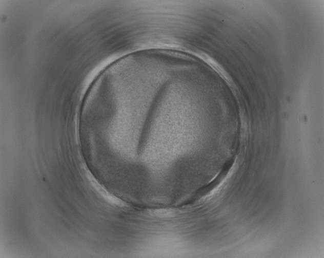 X0000076321246200610161636