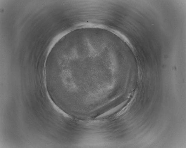 X0000076321247200610161636