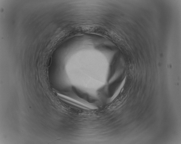 X0000076321249200610161635