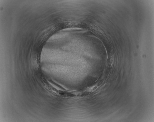 X0000076321250200610161635