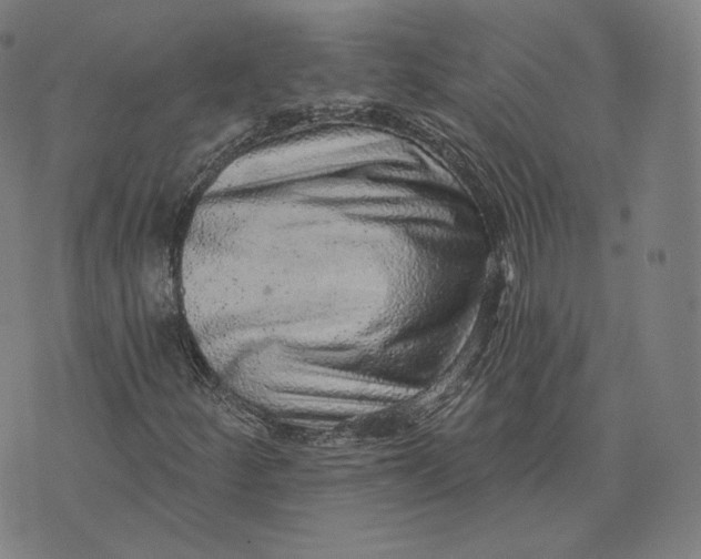 X0000076321252200610161635