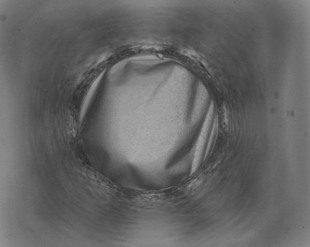 X0000076321253200610161635