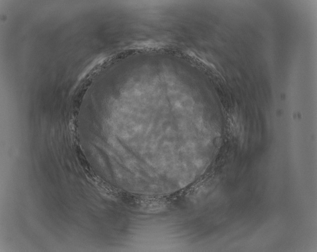 X0000076321254200610161635