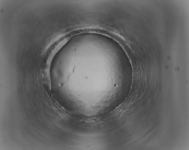 X0000076321255200610161635