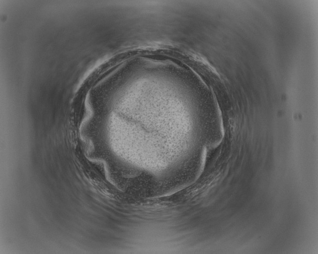 X0000076321256200610161635