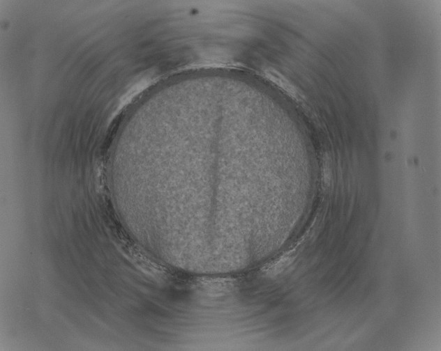 X0000076321258200610161635