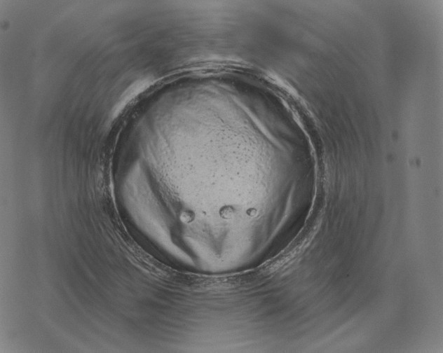 X0000076321259200610161635