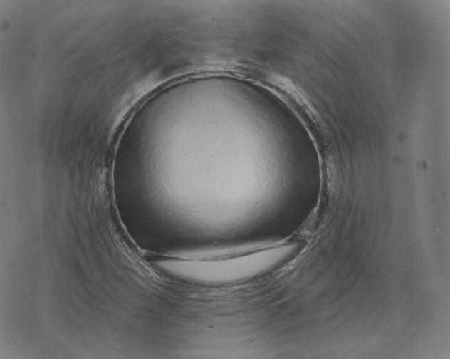 X0000076321260200610161635