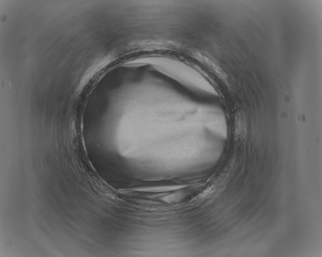 X0000076321261200610161635