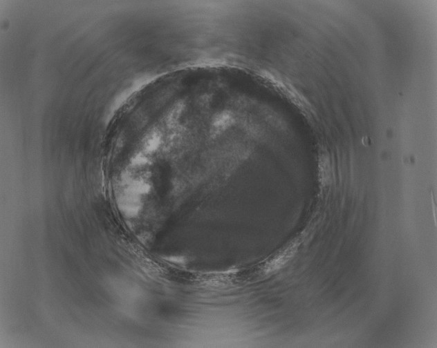 X0000076321262200610161635