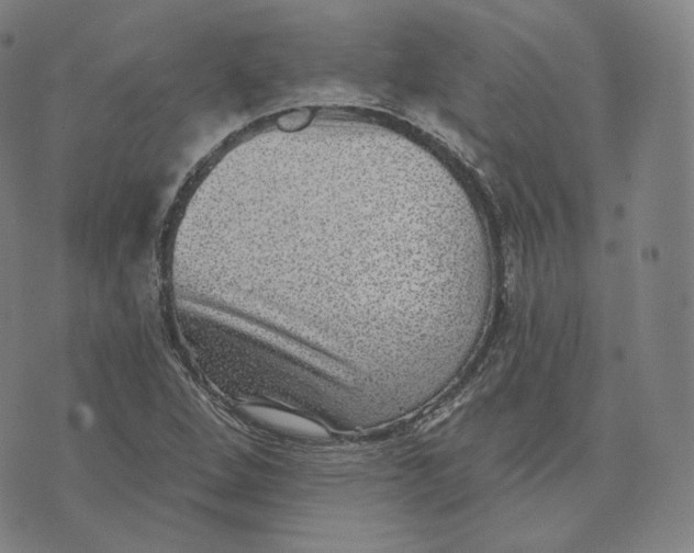 X0000076321264200610161635