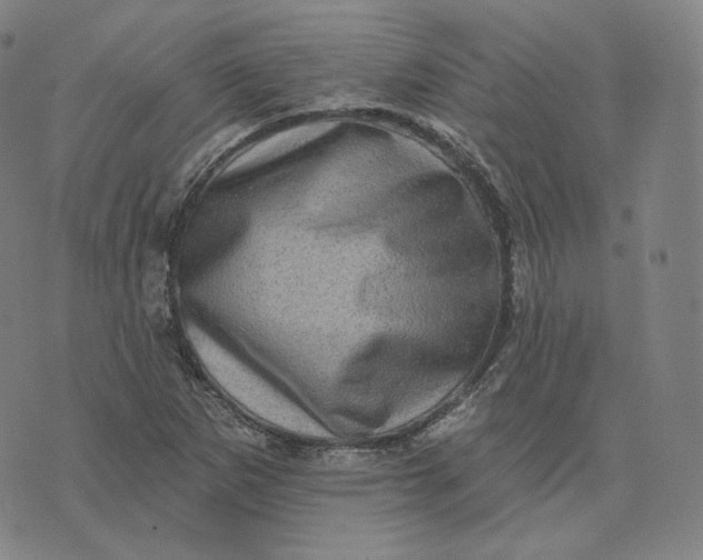 X0000076321265200610161635