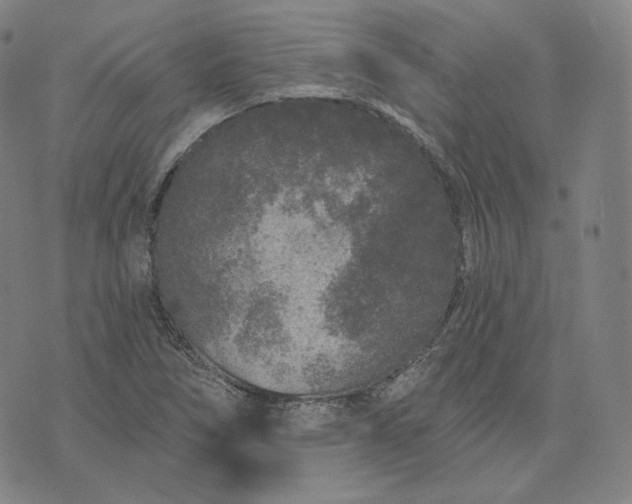 X0000076321266200610161635