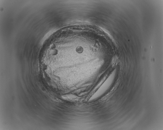 X0000076321267200610161635