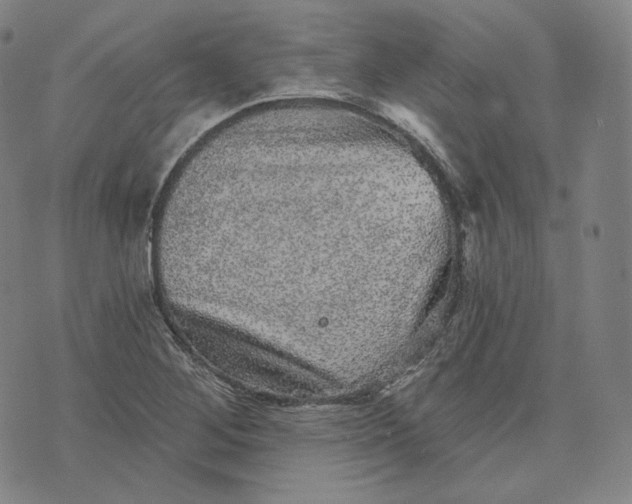 X0000076321268200610161635