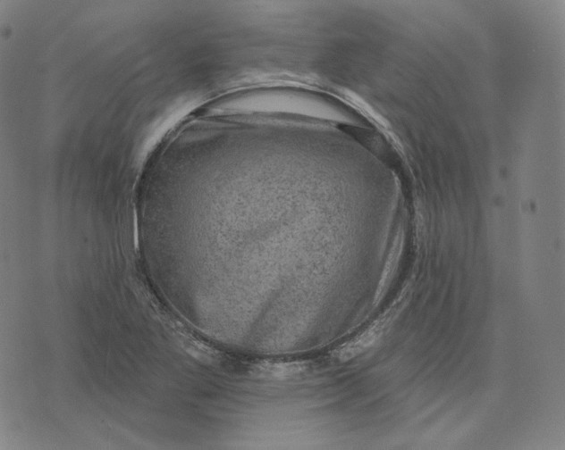 X0000076321269200610161635