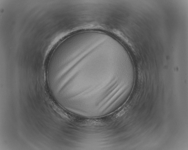 X0000076321270200610161635