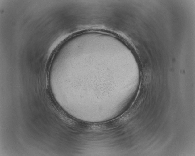 X0000076321271200610161635