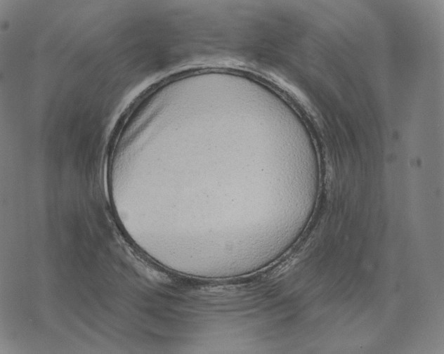 X0000076321272200610161635