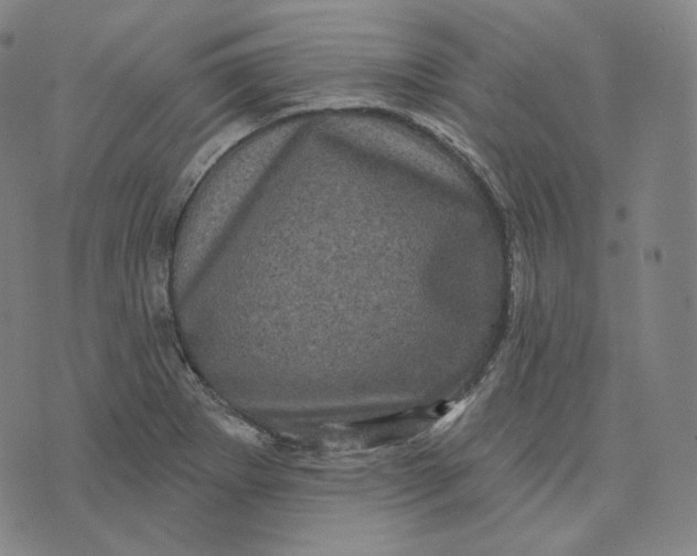 X0000076321273200610161635