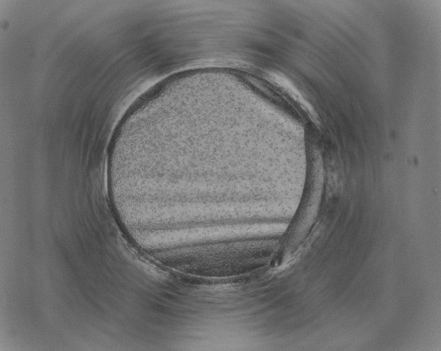 X0000076321276200610161635