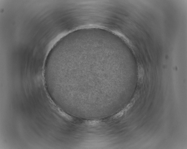 X0000076321278200610161634