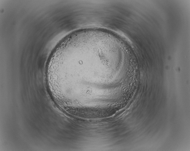 X0000076321279200610161634