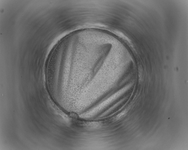 X0000076321280200610161634