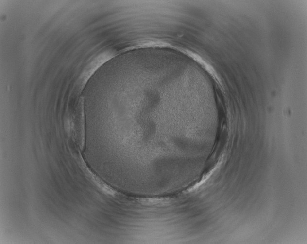 X0000076321281200610161634