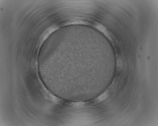 X0000076321282200610161634