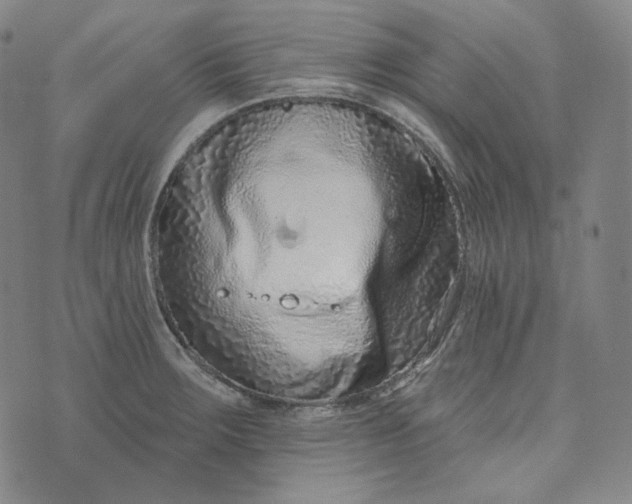 X0000076321283200610161634