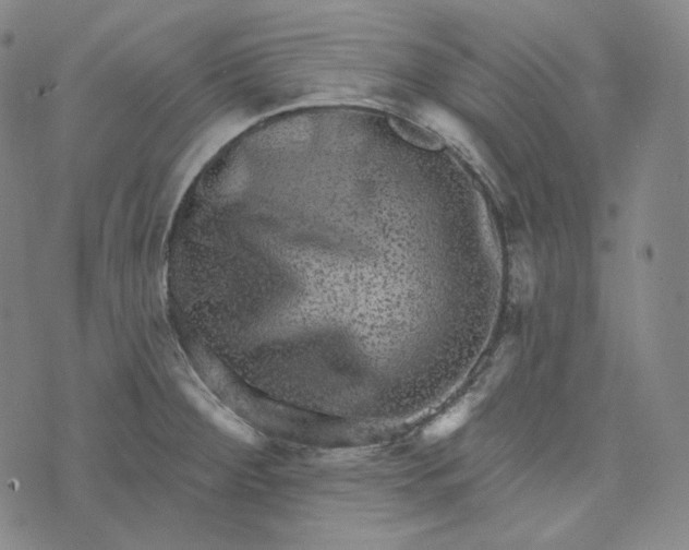 X0000076321284200610161634