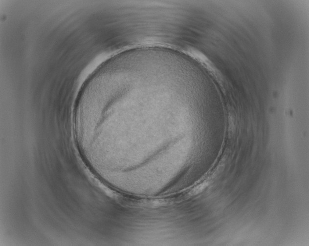 X0000076321286200610161634