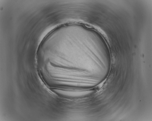 X0000076321287200610161634